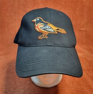 Baltimore Orioles Black Baseball Cap Hat